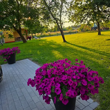 Kukinia33 Apartamento *